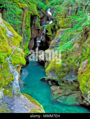 Avalanche Creek qui coule dans une gorge étroite dans le Glacier National Park, Montana Banque D'Images