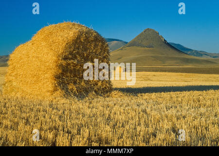 Des balles de paille rondes ci-dessous botte butte dans le Sweetgrass Hills près de whitlash, Montana Banque D'Images