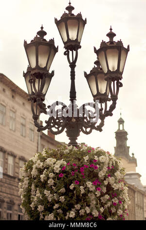 Arrangement de fleurs sur lampe de rue dans le centre historique d'Lvov-City (Ukraine) Banque D'Images