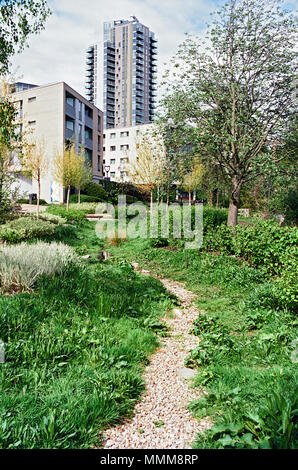 Nouveaux immeubles à Woodberry Down, North London UK, vu depuis le parc printemps nouvellement créé Banque D'Images