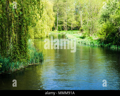 Un jour de printemps ensoleillé le long de la rivière Kennett dans le Wiltshire. Banque D'Images