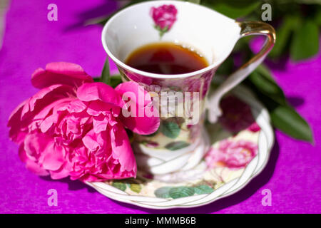 Fleur de pivoine à côté d'une tasse de thé sur un fond violet Banque D'Images