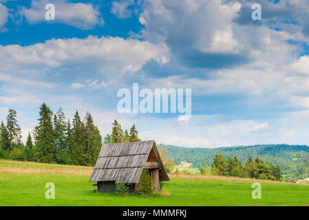 Vieille cabane en bois sur le terrain dans le contexte d'un beau paysage Banque D'Images