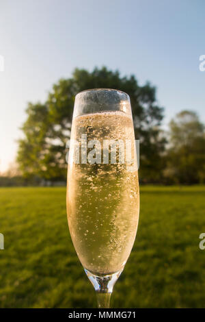 Un verre de vin pétillant à un pique-nique dans un parc de Londres Banque D'Images