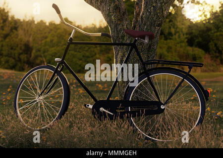 Le rendu 3D de l'arbre à vélo noir se pencha dans le pré gras paysage dans la lumière du soleil du soir Banque D'Images