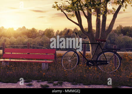 Le rendu 3D de l'arbre à vélo noir se pencha dans le pré gras paysage dans la lumière du soleil du soir Banque D'Images