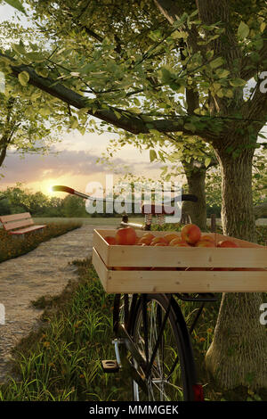 Le rendu 3D de vélo noir avec des caisses en bois plein de pommes à arbre dans l'herbe de prairie paysage dans la lumière du soleil du soir Banque D'Images