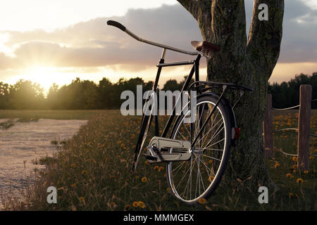 Le rendu 3D de l'arbre à vélo noir se pencha dans le pré gras paysage dans la lumière du soleil du soir Banque D'Images