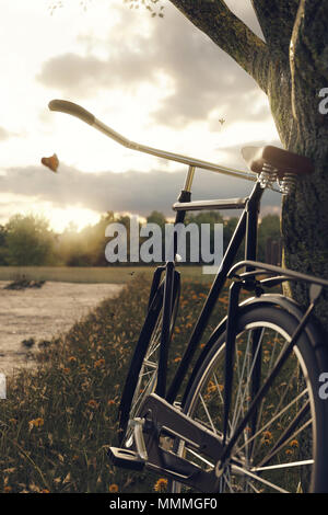 Le rendu 3D de l'arbre à vélo noir se pencha dans le pré gras paysage dans la lumière du soleil du soir Banque D'Images