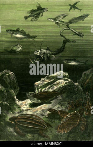 . Anglais : Une illustration de 'le roman de Jules Verne Vingt mille lieues sous la mer" (1866-69) dessiné par George Roux. Polski : Ilustracja powieści Gen. Sikorskiego 12 Verne'un wadzieścia tysięcy "mil podmorskiej żeglugi' (titre, przekładany wadzieścia tysięcy jako : 'Dmil podmorskiej żeglugi około świata', '20,000 mil podmorskiej żeglugi' ; 1866-69, je les JMJ. 1870) autorstwa'Alphonse de Neuville une Édouarda lub Riou. English : 'Jules Verne Vingt mille lieues sous les mers" (1866-69), dessins par Alphonse de Neuville ou Édouard Riou. Ce fichier a été téléchargé avec Commonist. Description de l'orginal tak Banque D'Images