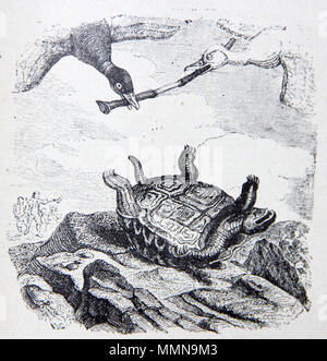 . English : fr:Illustrations des Fables de La Fontaine. . Entre 1838 et 1840. J.J. Grandville 10-3-la-Tortue-et-les-deux-canards Banque D'Images