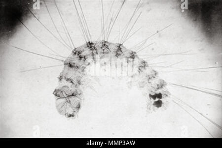 . Image numérique d'un albumenized imprimer sel (photographie), étant donné le titre 'Der polygraphische Apparat k. k. Hof- und Staatsdruckerei dans Wien' . 1853. Alois Auer 39 Alois Auer- polygraphische Banque D'Images