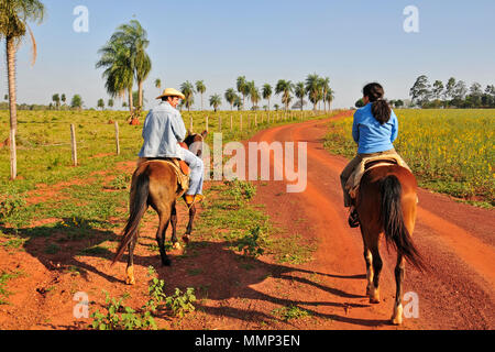 Bénéficie d'un centre touristique Visite guidée avec un guide dans une ferme dans la zone humide du Pantanal, Mato Grosso do Sul, Brésil Banque D'Images