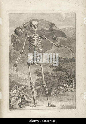 . Anglais : Bernhard Siegfried Albinus : Tabulae sceleti et musculorum corporis humani. Londres 1749. Бернарда Зигфрида Книга Русский : Альбинуса (1697 - 1770) "Tabulae sceleti et musculorum corporis humani" Лондоне изданная в городе в 1749 году. . 1749. Ce fichier n'est pas informations sur l'auteur. Albinus t01 Banque D'Images