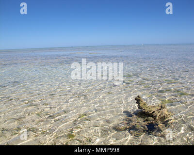 De l'eau claire comme du cristal à Nosy Ve Island près de l'Anakao, Madagascar, Afrique Banque D'Images