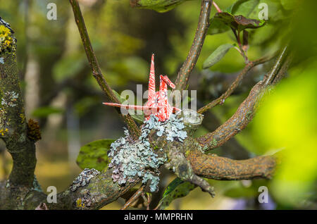 Papier Origami crane fait de papier origami japonais original mis en place dans un jardin naturel de l'environnement. Banque D'Images