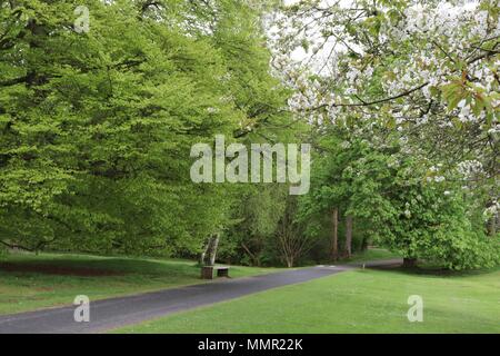 Chemin à travers jardins en park Banque D'Images