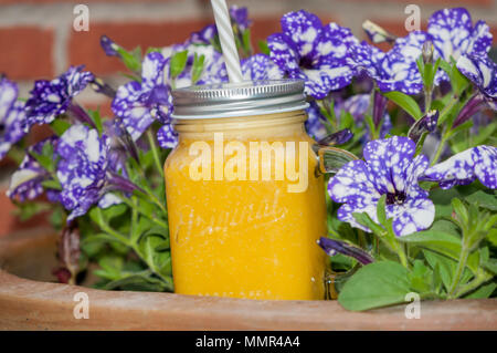 Smoothie aux fruits, jus de fruits, jus, pétunia, surfinia Banque D'Images