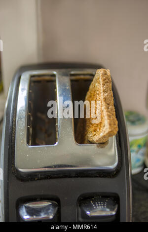 Une tranche de pain dans un grille-pain pop-up Banque D'Images