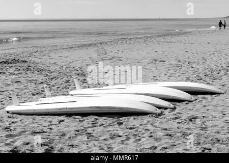 Planche à voile les tables sur le sable d'une plage de la Méditerranée Banque D'Images