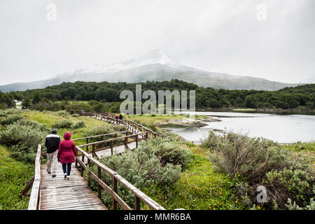 Les touristes à pied sur le chemin en bois, pont, Parc National 'Terra del Fuego", Parc National, près de Ushuaia, Patagonie, Argentine Banque D'Images