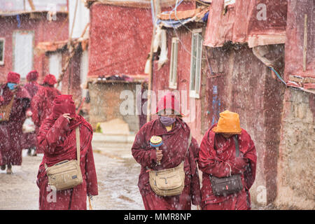 Les nonnes tibétaines marche dans la neige, Yarchen Gar, Sichuan, Chine Banque D'Images