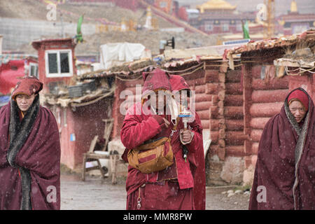 Les nonnes tibétaines marche dans la neige, Yarchen Gar, Sichuan, Chine Banque D'Images