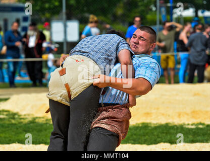 Genève, Genève, Suisse. 12 mai 2015. Lutteurs suisse combats dans sciure ring, 19e festival de lutte suisse du canton de Genève, Genève, Genève, Suisse. Crédit : Collection GFC/Alamy Live News Banque D'Images