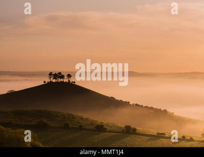 Bridport, Dorset, UK. Le 13 mai 2018. Météo France : l'emblématique Colmers Hill dans Symondsbury, près de Bridport Dorset est en silhouette sur le ciel tôt le matin comme la brume des ascenseurs pour signaler l'arrivée de plus réglé conditions météo de la semaine à venir. Credit : DWR/Alamy Live News. Banque D'Images