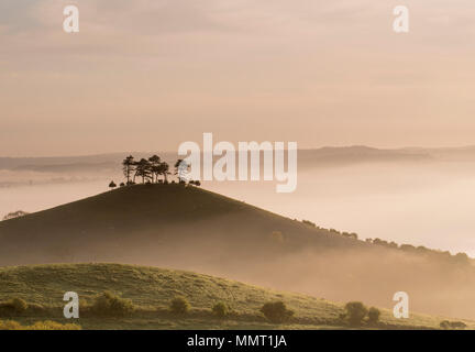 Bridport, Dorset, UK. Le 13 mai 2018. Météo France : l'emblématique Colmers Hill dans Symondsbury, près de Bridport Dorset est en silhouette sur le ciel tôt le matin comme la brume des ascenseurs pour signaler l'arrivée de plus réglé conditions météo de la semaine à venir. Credit : DWR/Alamy Live News. Banque D'Images