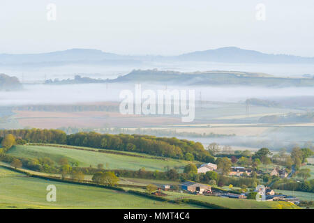 Askerswell, Dorset, UK. Le 13 mai 2018. Météo britannique. Vue depuis la colline au-dessus du village Askerswell dans le Dorset à la North West vers Lewesdon Hill avec brouillard les vallées à l'aube. Crédit photo : Graham Hunt/Alamy Live News Banque D'Images