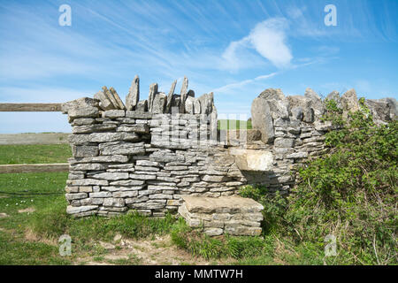 Mur en pierre sèche et stile au pays Durlston Park et réserve naturelle nationale de Dorset, UK Banque D'Images