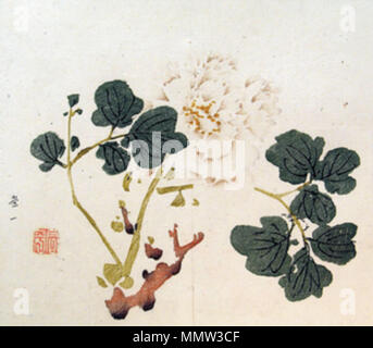 . Anglais : chrysanthème du bambou 10 Studio Manuel de la calligraphie et la peinture (Shizhuzhai shuhua pu), par Hu Zhengyan Čeština : Chryzantéma malířství Příručky, ilustrace z une kaligrafie bambusů Ateliéru u deseti Chrysanth - Hu Zhengyan Banque D'Images