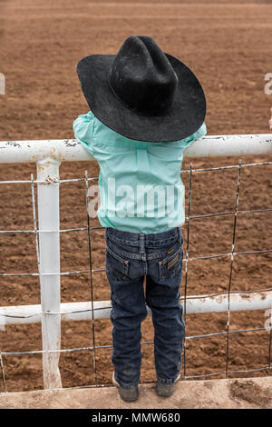 22 juillet 2017 - COLORADO NORWOOD Rodeo, bassin de San Miguel San Miguel County Fairgrounds Banque D'Images