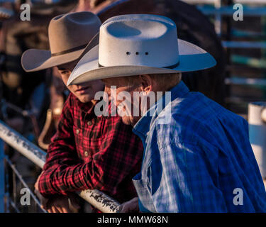 22 juillet 2017 - COLORADO NORWOOD cowboy dans plad montres chemise Rodeo du bassin de San Miguel, San Miguel County Fairgrounds Banque D'Images
