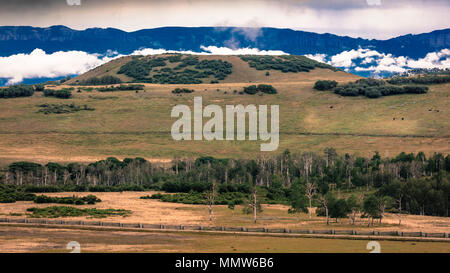 Juillet 2017, HASTINGS MESA - Paysage de montagne au format panoramique sur Last Dollar Road (Route de comté 58P) route de terre à Telluride, Colorado Banque D'Images