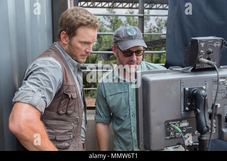 DATE DE SORTIE : Juin 12, 2015 Title : Jurassic World STUDIO : Universal Pictures Réalisateur : Colin Trevorrow PLOT : un nouveau parc à thème, construit sur le site d'origine de Jurassic Park, crée un dinosaure hybrides génétiquement modifiés, qui échappe à l'endiguement et va sur une tuerie. Avec : CHRIS PRATT. (Crédit Image : © Universal Pictures/photos) Banque D'Images