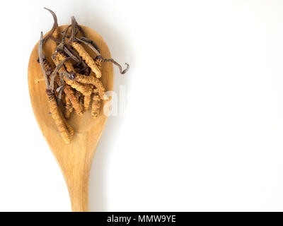 Groupe d'Ophiocordyceps sinensis ou champignons cordyceps herbes c'est un placé sur cuillère en bois blanc sur fond isolé. sur table en bois. La Banque D'Images