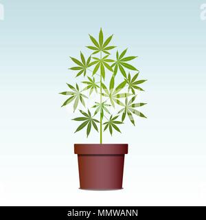 La Marijuana ou cannabis en pot. Des herbes dans un pot. Culture du cannabis. La consommation de drogues, la consommation de marijuana. Vector illustration isolé. Illustration de Vecteur