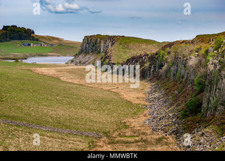Sycamore Gap Mur d'Hadrien. Banque D'Images