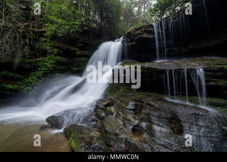 La lumière de l'après-midi de printemps sur Martin Creek Falls off le Bartram Trail dans Clayton, Géorgie. Banque D'Images