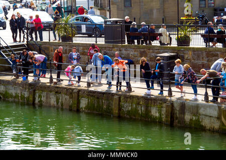 Une foule de vacanciers dans soleil du printemps par le pont de pêche dans le port de Whitby Banque D'Images