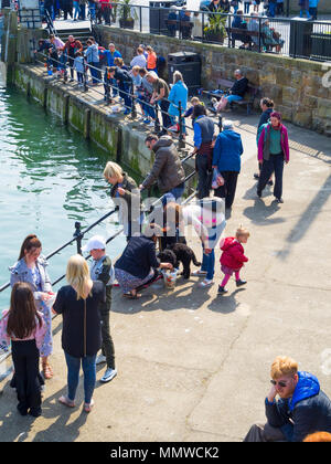 Une foule de vacanciers dans soleil du printemps par le pont de pêche dans le port de Whitby Banque D'Images