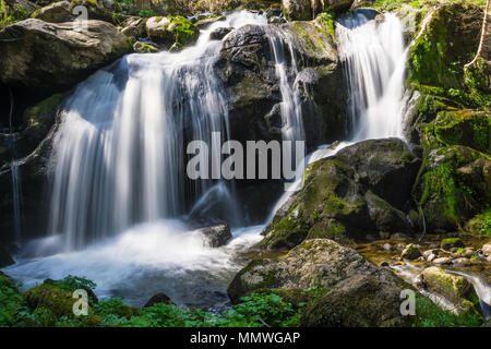 L'Allemagne, Destination de belles chutes d'eau d'Allemagne à triberg forêt-noire Banque D'Images