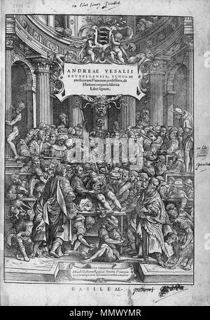 . Anglais : disséqué le corps humain. . 1543. Andreas Vesalius (1514-1564) Noms alternatifs Andreas van Wesel, Andreas, André Vesal Vesalio, Andre Vesale Description peintre flamand et anatomiste Date de naissance/décès 31 Décembre 1514 15 octobre 1564 Lieu de naissance/décès Bruxelles Zakynthos contrôle d'autorité : Q170267 : VIAF ?51696979 ISNI : ?0000 0001 2132 6681 ULAN : ?500327607 RCAC : ?n81035178 NLA : ?35580728 WorldCat De humani corporis fabrica (16) Banque D'Images