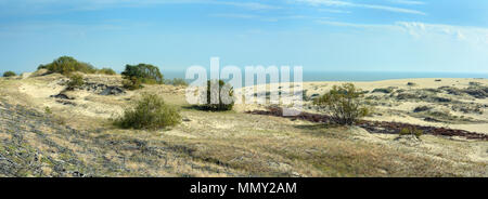 Un paysage de dunes de sable sur la Courlande, la région de Kaliningrad Banque D'Images