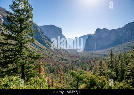 Vue de la vallée Yosemite de Tunnel view point au lever du soleil - vue de Bridalveil Falls, El Capitan et Half Dome - Yosemite National Park en Californie, Banque D'Images