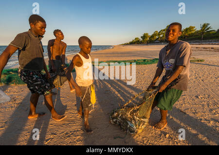 Les petits pêcheurs locaux découvrez les captures dans leurs filets à Inhassoro au Mozambique. Banque D'Images