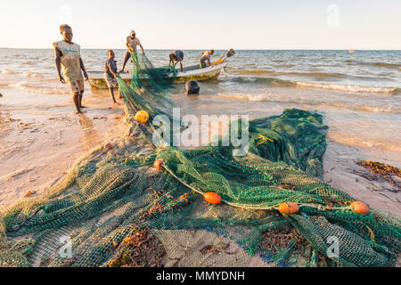 Les pêcheurs artisanaux au Mozambique sortir les filets contenant les captures. Banque D'Images