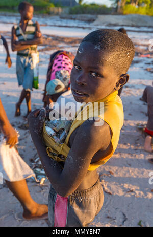 Les pêcheurs locaux collectent les prises de jours à Inhassoro au Mozambique. Banque D'Images